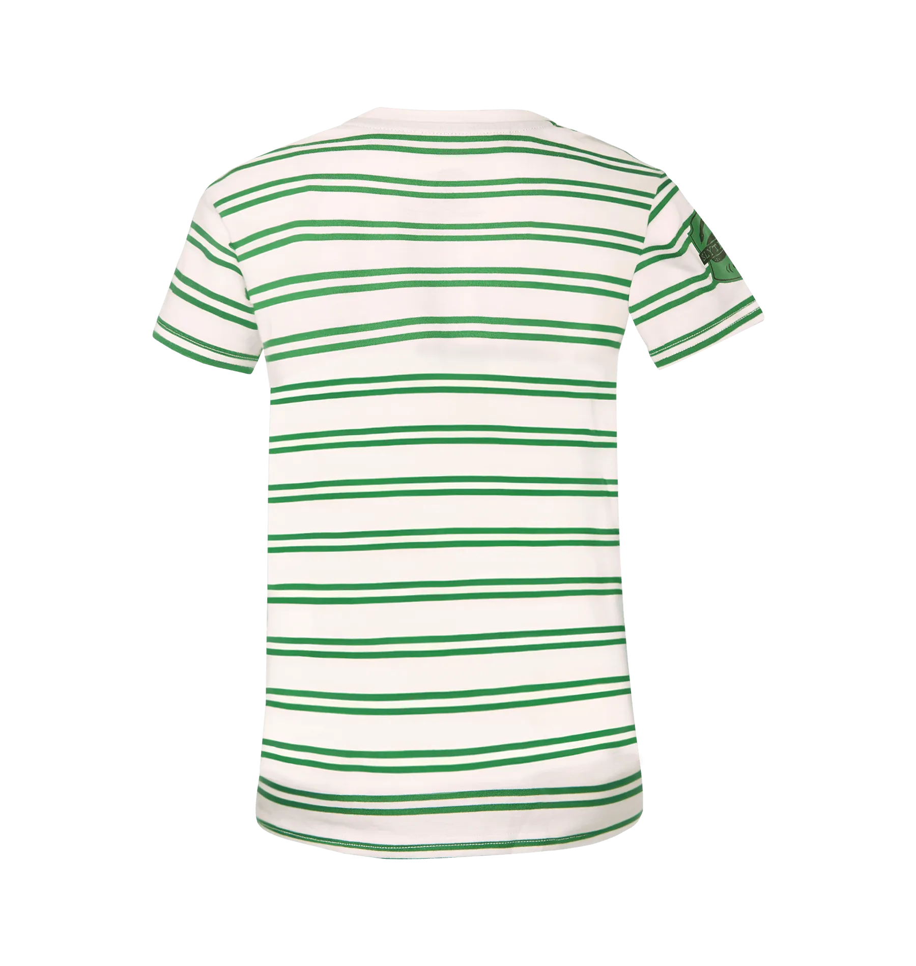 Active Fit Timeless Must-Have Kids Slytherin Striped T-Shirt