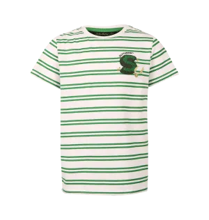 Breathable touch High Durability Weave Kids Slytherin Striped T-Shirt