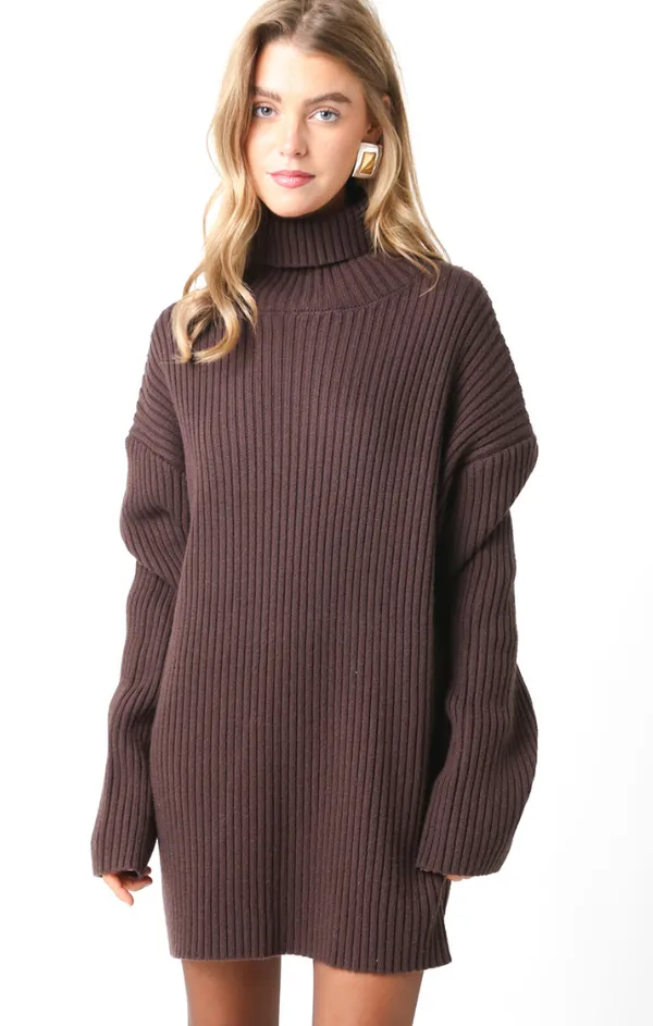 Travel Ready Coffee Bean Turtleneck Sweater Tunic